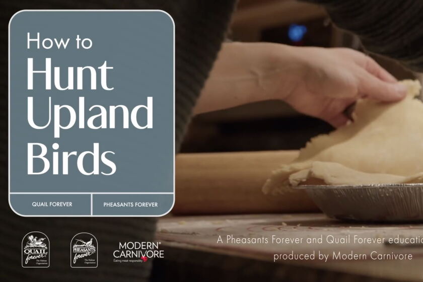 video-thumb-grand-forks-herald