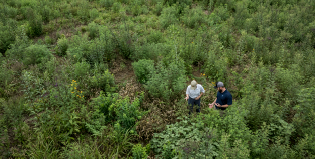 Volunteer Find Representative