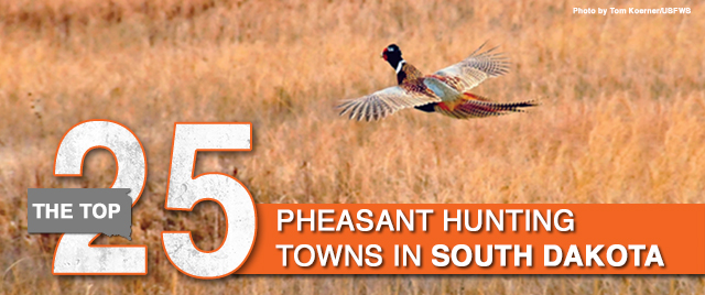 Top 25 Pheasant Hunting Towns in South Dakota