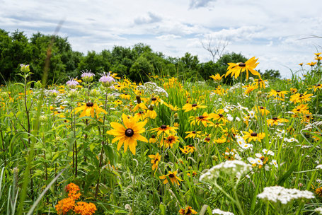Managing Habitat with Purpose