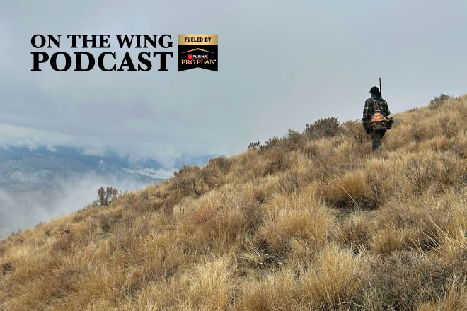 PODCAST EP. 354: Hard Truths & Practical Tips for the Traveling Wingshooter