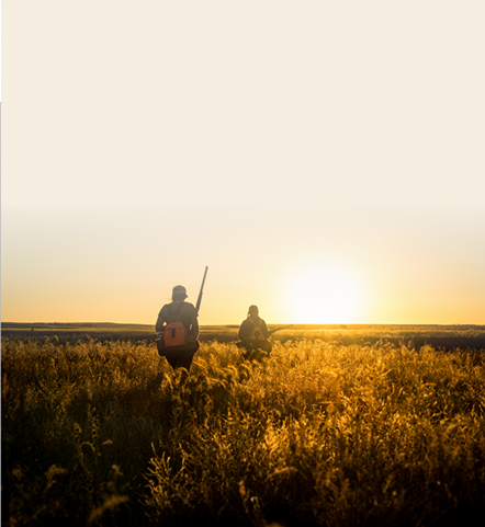 Pf Mobile Footer Bg1